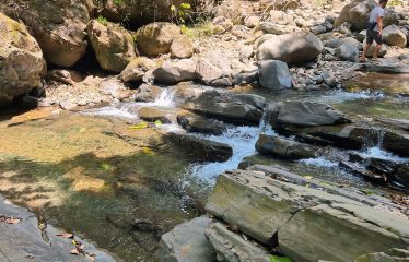 JUNGLE DREAMS FARM: WHERE NATURE MEETS SERENITY – 20 ACRES